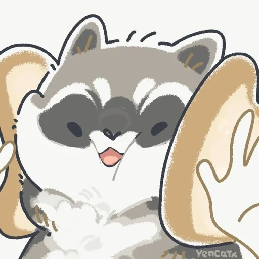 raccoon, raccoon, the raccoon is cute, raccoon drawing, raccoon cute drawing