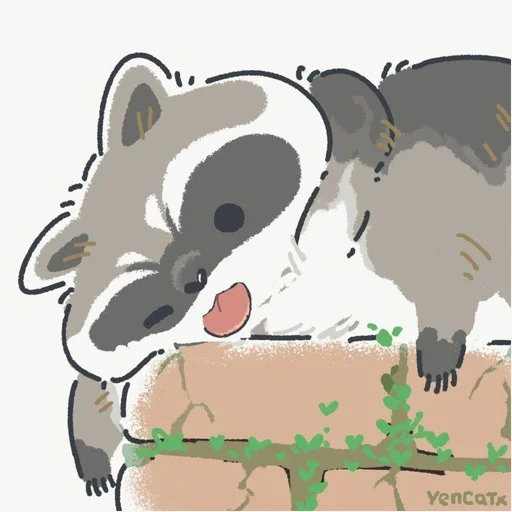 raccoon, anime, raccoon drawing, raccoon illustration, raccoon cute drawing