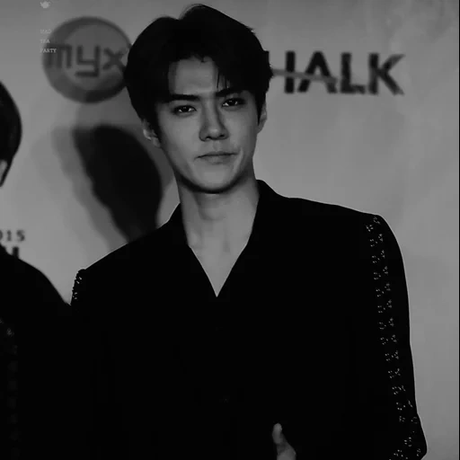 sehun, oh sehun, sehun exo, levi sehun, xie hongdadi