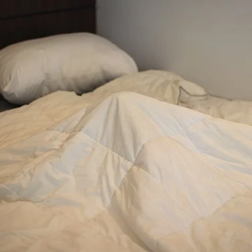 cama, cama, roupa de cama, roupa de cama, raposa de silverfox