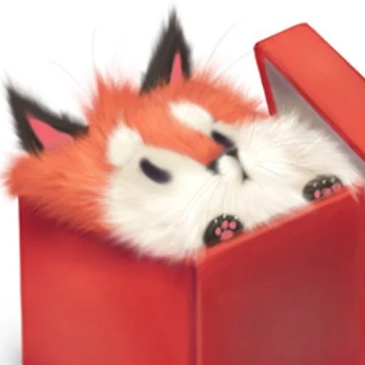 gatto, vuk, fox box, gli animali sono carini, una scatola regalo per gattini