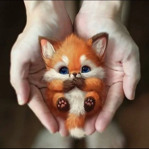 a raposa é fofa, animal fofo, arte silver fox fox, o animal mais adorável, padrão animal bonito