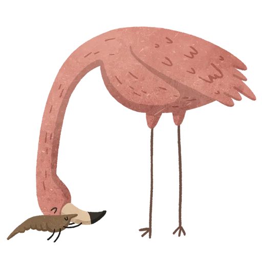 фламинго, фламинго птица, фламинго адоб ми, фламинго розовый, розовый фламинго птица