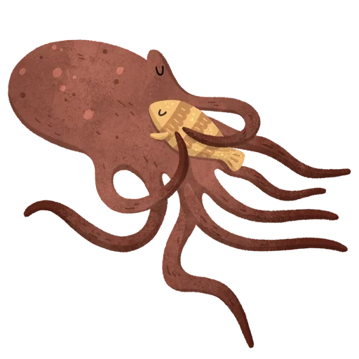 octopus, octopus, die umarmung, tintenfisch und tintenfisch, oktopus clip foot
