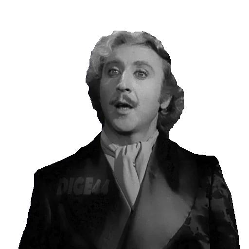 the male, artists, jin wilder, jin wilder young frankenstein, jin wilder young frankenstein 1974