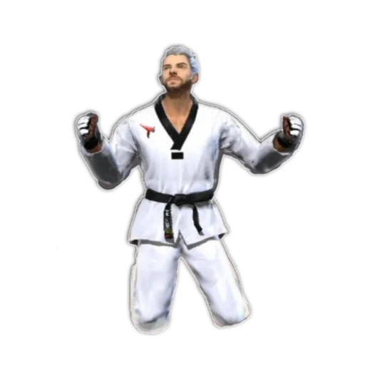 quixon ranraku, dobobok thecvondo, kimono taekwondo, bek du san texcen, 3d figura karateist