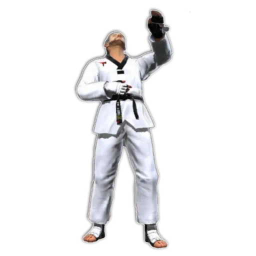 taekwondo, dobok taekwondo, forma di taekwondo, kimono taekwondo, taekwondo hapkido