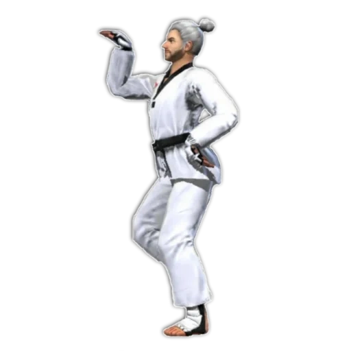 thekvondo, baek texken, chuck norris thekvondo, uniform takvondo kwon, paint sparring taekwondo