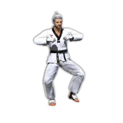 taekwondo, blanco du tres hierro, uniformes de taekwondo, punto a la práctica de taekwondo, imagen de fuga hueca