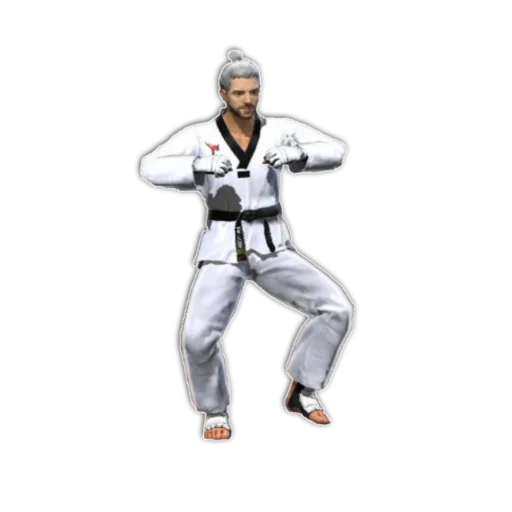 taekwondo, baidu triple rails, taekwondo quan uniform, punto per praticare il taekwondo, immagine di perdita vuota