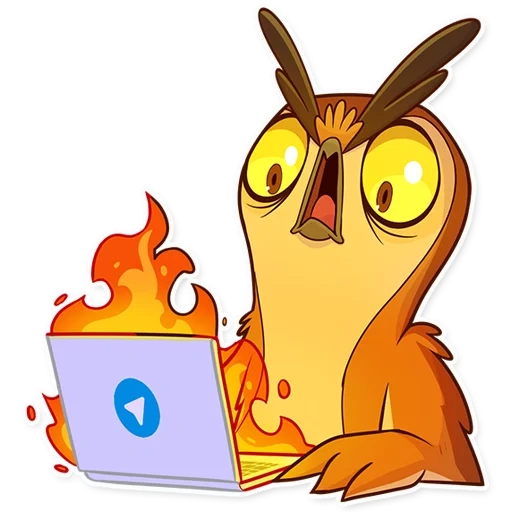 сова, freelance owl