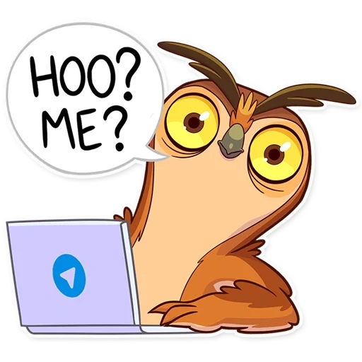 burung hantu, freelancer, steve owl, burung hantu lepas