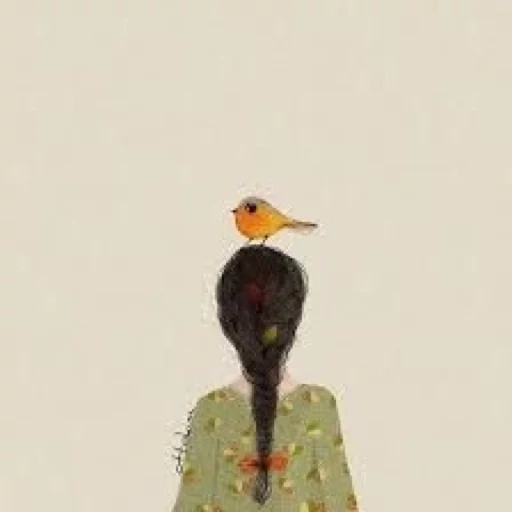 птицы, додо птица, иллюстрация, баклан птица, птицы иллюстрации