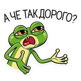 frog_tranzhira_vk
