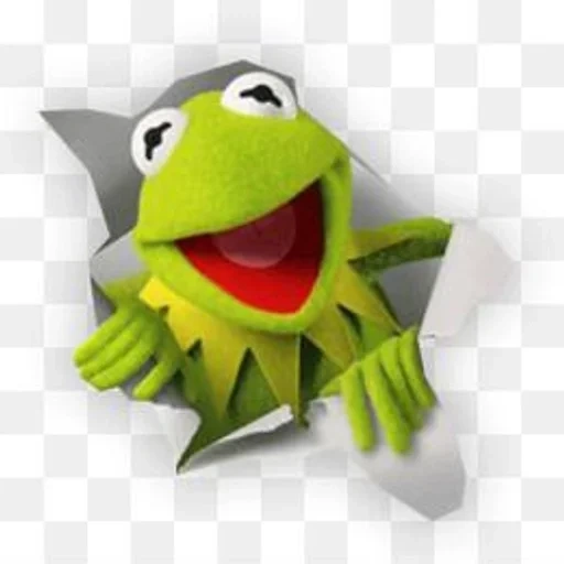 kermite, grenouille kermite, cermite de grenouille, grenouille cermit pepe, frog cermit avec un fond blanc