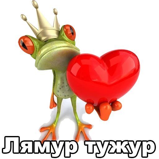 жаба лягушка, жаба сердечком, лягушка сердце, смешные лягушки, лягушонок сердечком
