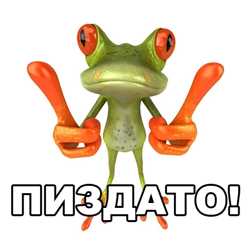 rana, la rana è divertente, una pazza rana, the frog kvaki, la rana è fantastica