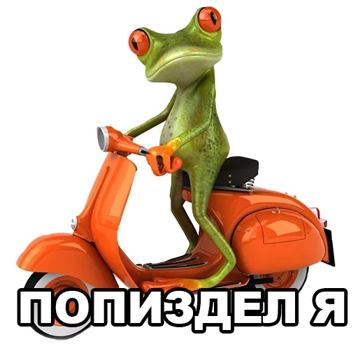 лягушка, лягушка мопеде, лягушка скутер, лягушка мотоцикле, лягушонок скутере