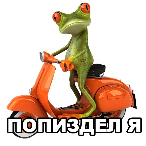 grenouille, grenouille de cyclomoteur, scooter à grenouille, grenouille d'une moto, scooter de grenouille