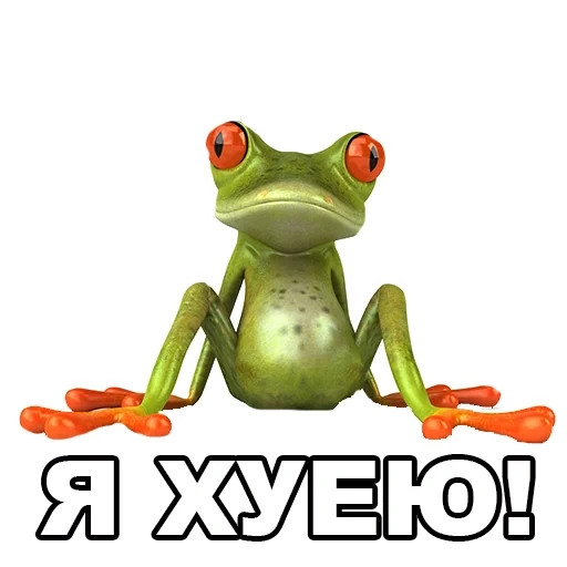 frog, лягушка жаба, сидящая лягушка, лягушка белом фоне, лягушка сидит трубе