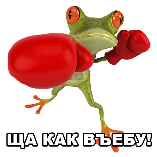 toad, frog, frog 3d, funny frog, frog boxer