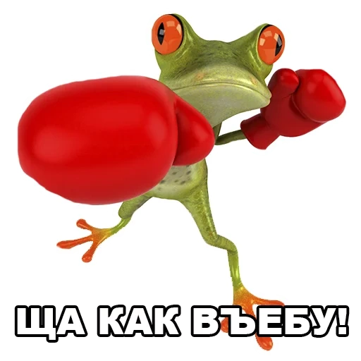 жаба, лягушки, лягушка 3д, смешные лягушки, лягушонок боксер