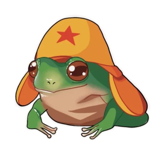 frog, animals are cute, frogs are funny, a ridiculous animal, i have a hat frog