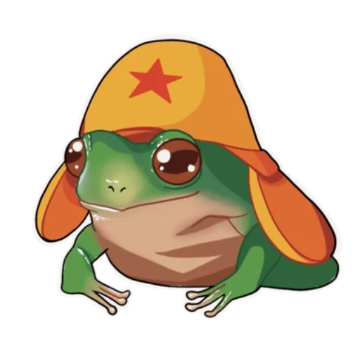 grenouille, les animaux sont mignons, la grenouille est drôle, animal ridicule, j'ai une grenouille chapeau