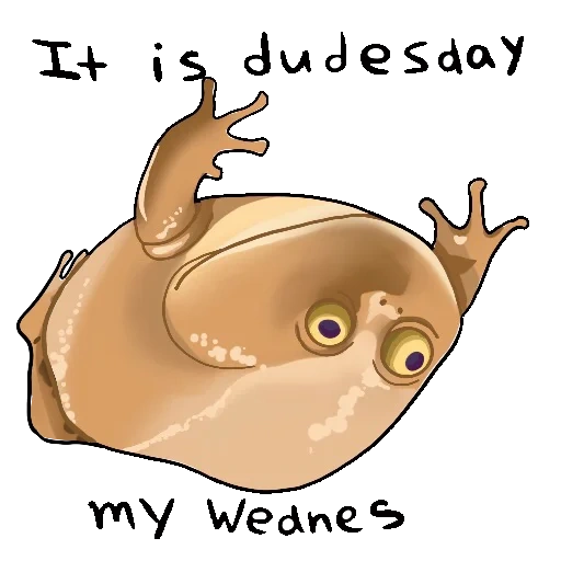 wednesday my dudes, it is wednesday my dudes, it wednesday my dudes toad, frog its wednesday my dudes, frog it is wednesday my dudes