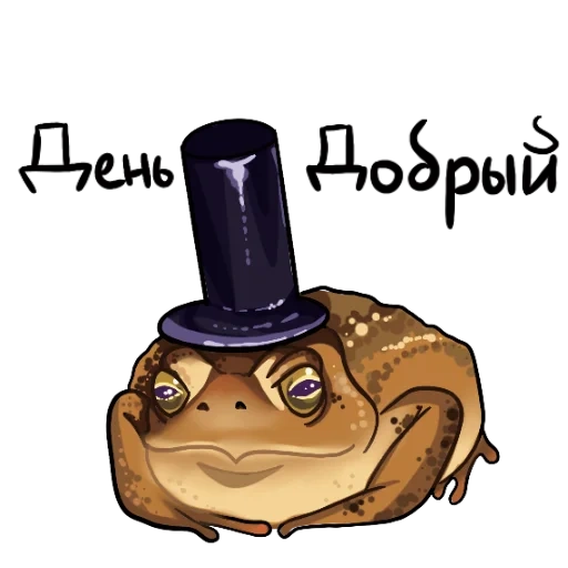 toad, funny, frog, toad hat, toad kajia