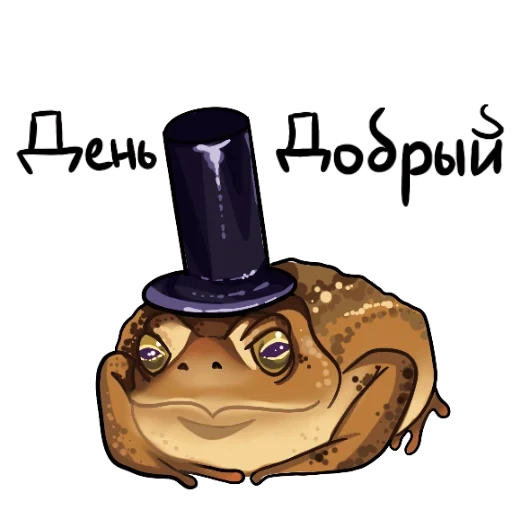 crapaud, drôle, grenouille, chapeau de crapaud, crapaud katya