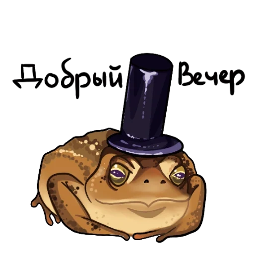 funny, frog, toad hat, toad kajia, toad magician