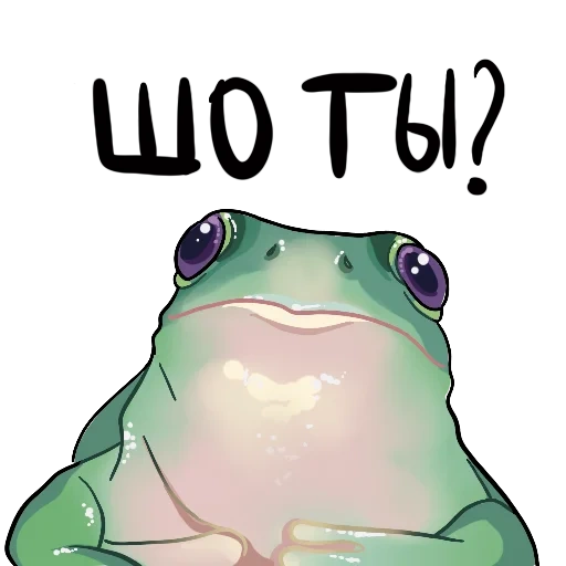 meme, drôle, grenouille, grenouille à pinces, carte postale grenouille