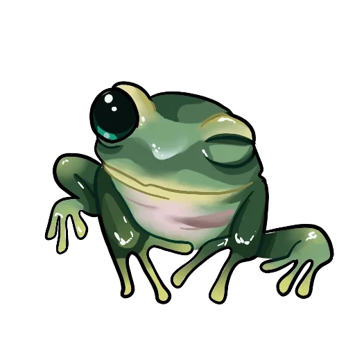frog, frog toad, frog tree frog, green frog, frog frog