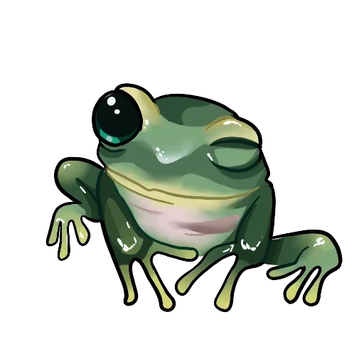 frösche, froschkröte, kvaksha frog, grüner frosch, der frosch ist kvakushka