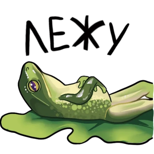 grenouille, crapaud de pepe, grenouille crapaud, grenouille de pepe, la grenouille est couchée