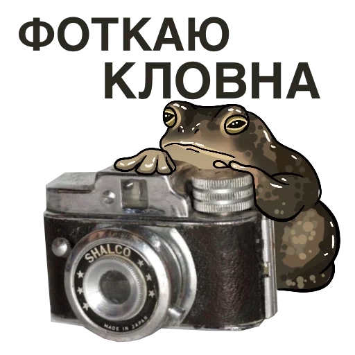 la schermata, la macchina fotografica, vuoi un gattino, fotocamera vintage, guarda gli animali con una macchina fotografica