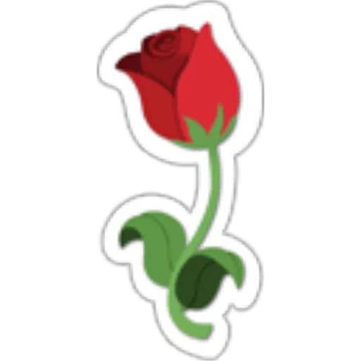 flor rosa, rosa roja, dibujo de rosas, bocetos de rosas, rose de dibujos animados