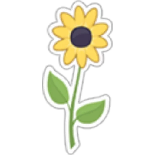 fiore di girasole, simbolo di girasole, germoglio di girasole, pianta domestica, fiore di girasole