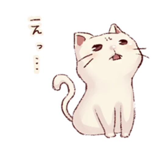 perro marino, frown cat, lindo sello, pequeño sello, meng gato blanco