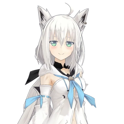 fubuki, anime neko, hololive fubuki, fubuki shirakami, shirakami fubuki hololive