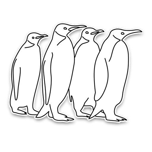 manchot, croquis de pingouin, coloriage pingouin, dessin à pingouin avec un crayon, croquis d'animaux avec un crayon de pingouins