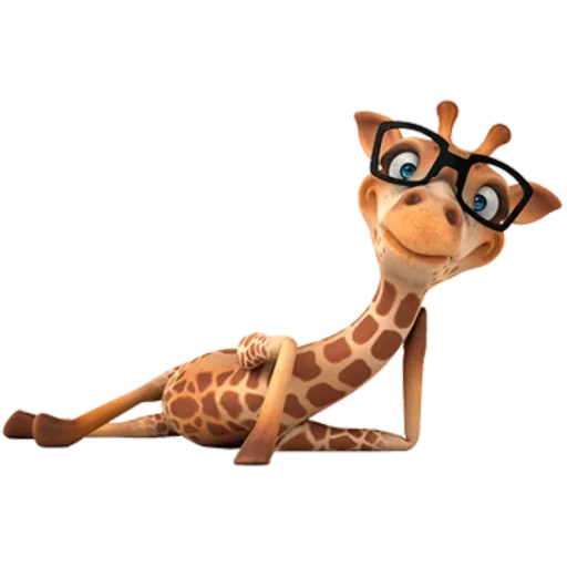 positiv, giraffe brille, humor positiv, tiergiraffe