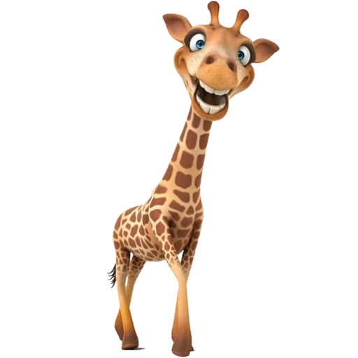 жирафы, giraffe, жираф животное, жираф белом фоне, жираф 120х90 3 шт