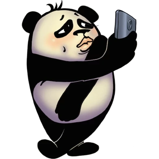 panda, cooler panda, lustige pfannkuchen