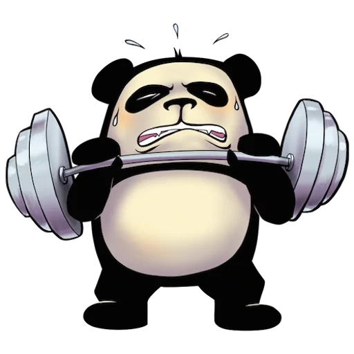 panda, funny, panda sports, panda rod, cool panda