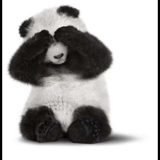 panda, giocattolo panda, hansa panda 45 cm, hansa panda 30 cm, panda soft toy