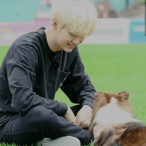 yoongi bts, jimin bts, yoongi bts, bangtan boys, chiens de bts yungi