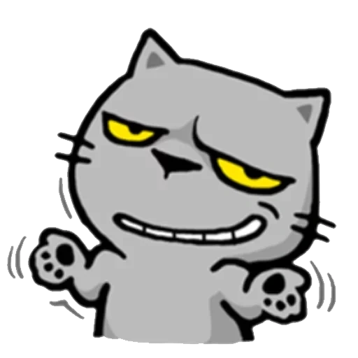 cat, cats, angry cat, evil cats, the cat is simple