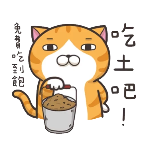 cat, smelly cat, ленивый кот, cat'skiss 貓研社